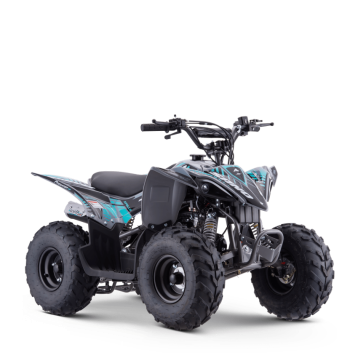 QUAD SANO PREDATOR 110CC